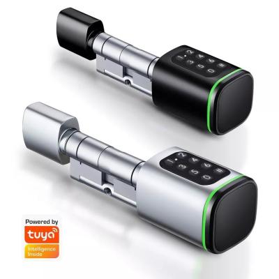 China Conveniently Unlock Your Wooden Door with Silver Smart Cylinder Lock Password Unlocked for sale