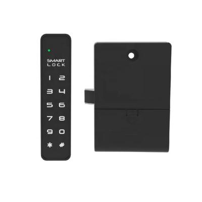 China User-Friendly Digital Touch Pad Zinc Alloy Smart Drawer Lock for Gym Lockers for sale