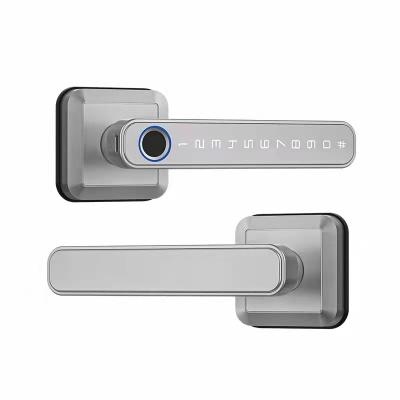 China Smart Wireless Fingerprint Key Lock met deurgreep voor TUYA App en Smart Life App Te koop