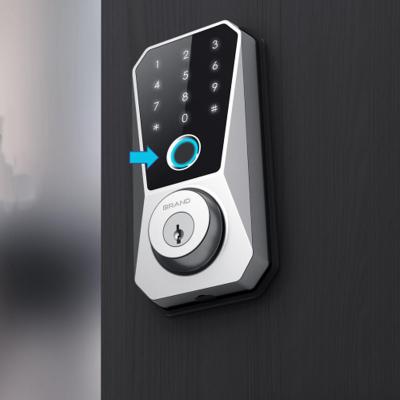 China Modern Network-Enabled Tuya Wifi Biometric Fingerprint Digital Keyless Smart Door Lock for sale