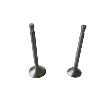 China Can meet requirements R190 spiring machinery parts custom forged engine valve for sale