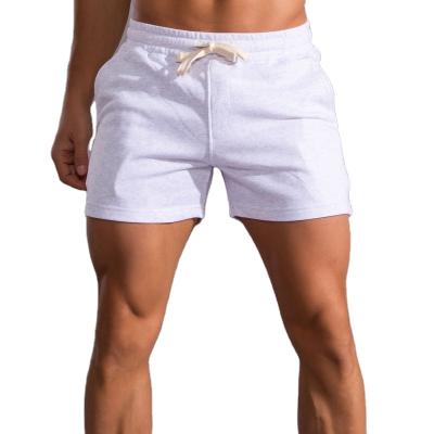 China New Summer Sidiou Group Anti-wrinkle Sports Shorts Men Cotton Running Casual Joggers Shorts Fashion Quick Dry Mens Fitness Shorts for sale