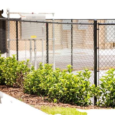 China Sustainable Decorative Green Or Black Vinyl Coated Chain Link Garden Fence for sale