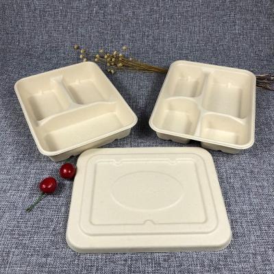 China 500ml Disposable Compostable Biodegradable Lunch Container Sugar Cane Eco Friendly Lunch Box for sale