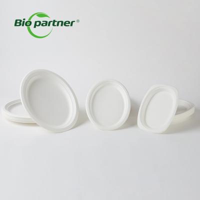 China Modern Wholesale Compostable Disposable Disposable Stylish Sugarcane Bagasse Dish And Napkins for sale