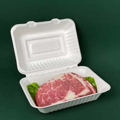 China Wholesale Customized Biodegradable Microwavable Sugar Cane Sugarcane Food Container Takeout Packaging for sale