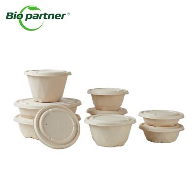 China Modern Biodegradable 32oz 48oz Sugarcane Bagasse Soup Salad Bowl With Tight Lid for sale