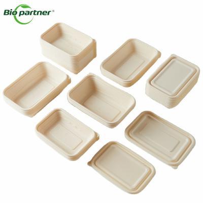 China Modern Biodegradable Microwave Food Caterer Disposable Cornstarch Bento Lunch Box With Lid for sale