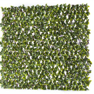 China ECO-FRIENDLY Expanding Retractable Fence from Ivy Privacy Willow Trellis Artificial for sale