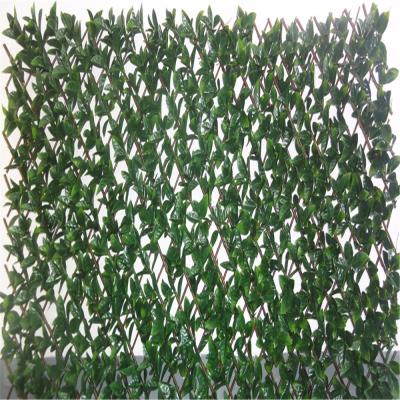 China Decorative Expanding Fence ECO-FRIENDLY Mesh Pe Expanding Willow Trellis for sale