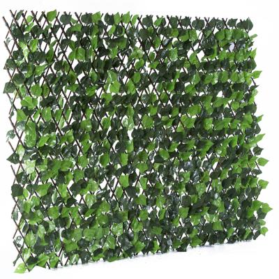 China Eco Friendly Expanding Artificial Willow Trellis Fence Easily Gathered for sale