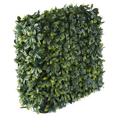 China 75*25*75Cm MZ195Series Plant Artificial Wall Box Hedge Easily Assembled Indoor Living Wall for sale