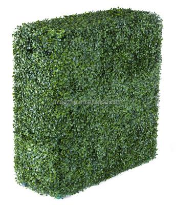 China Easily assembled banding hedge for sale