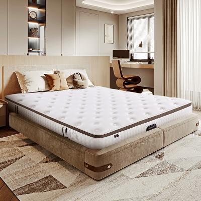 China Factory OEM/ODM Massage Covers Memory Foam Hybrid Rolled Up Pillow Pocket Top Orthopedic Bed Base for sale