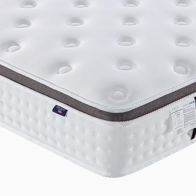 China Popular Home Double Size Massage Latex Memory Foam Natural Latex Memory Foam Coil Spring In A Box Bed Mattress for sale