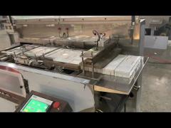 300 3D Cellophane Film Packaging Machine