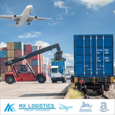 China Independent Warehouse China Freight Forwarder To Amazon USA/UK/UAE/KSA By Sea DDP for sale