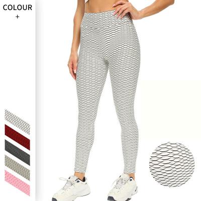 China FS4593A Women Yoga Wear Gym Fitness Breathable Hot Selling Seamless Yoga Pants for sale