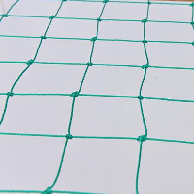 China PE Farm Plant Trellis Netting Professional Garden Support Netting Moderate Price Climbing for sale