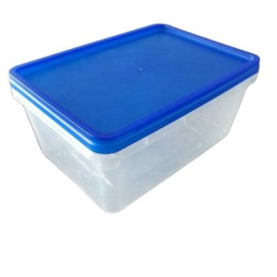 China Custom Universal Eco-friendly OEM Handy Mini Plastic Storage Box for Storing Injection Molding Plastic Tooling for sale