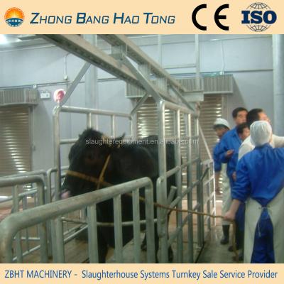 China Cattle Live Cattle Weighing Scale For Cattle Slaughtering Line Made By Galvanized Steel Structure for sale