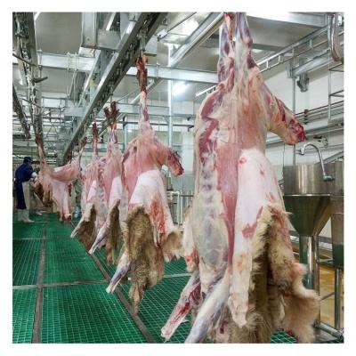 China Automation Goat Slaughtering Machine Sheep Pre-Skinning Conveyor Full Track High Level For Sheep Slaughtering Line for sale