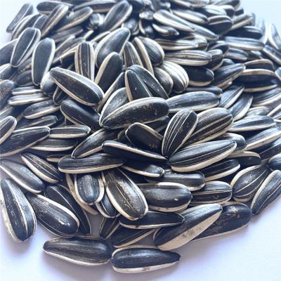 China 601 Fresh Sunflower Seeds New Crop Bulk Export To Egypt for sale