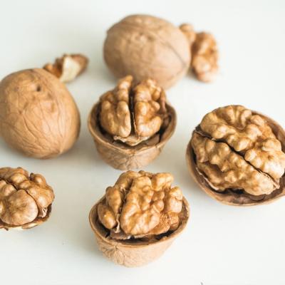 China Best quality dry wholesale nuts for sale good quality 100% natural healthy nuts for sale