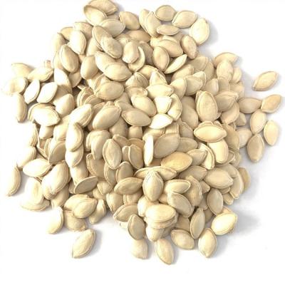 China Wholesale Price Dried Shelled Snow White Pure Pumpkin Seeds for sale