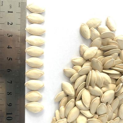 China Organic Dried Snow White and Shell Glow Skin Hybrid Pumpkin Seed for sale