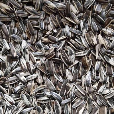 China Dry chaff and cheap sunflower seeds for human consumption for sale