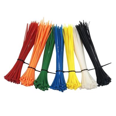 China New Normal Quality Nylon Cable Tie In Line Nylon Material Kids Playground Bag Black Green Packing Pcs Red White Blue Rohs Color for sale