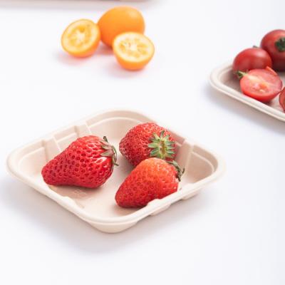 China Cheap biodegradable disposable dish fruit and vegetable degradable professional manufacture tableware Te koop