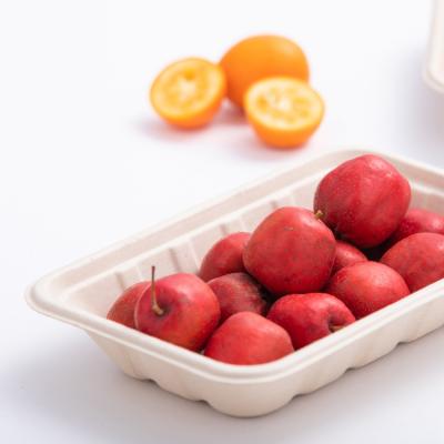 China Degradable fine quality tableware biodegradable disposable fruit and vegetable dish Te koop