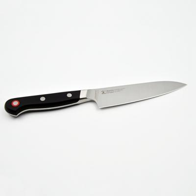 China Sustainable Unique Design Hot Sale Super Sharp Professional Chef's Knife 5 Inch Fruit Knife for sale