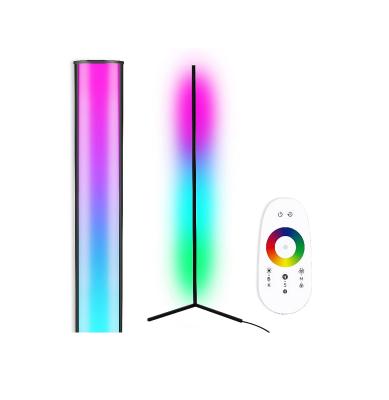 China Living Room Modern Indoor Modern Color Changing Lights Dimmable Style Floor Lamp Led Corner Floor Night Light for sale