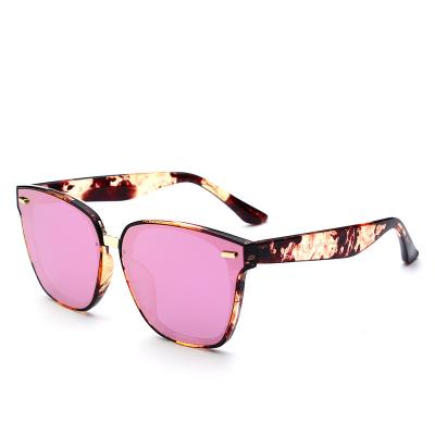 China UV400 China manufacturing cheap unisex polarized elliptical frame sunglasses wholesale for sale