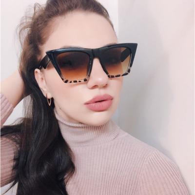 China Personalized Fashion Cat Eye Sunglasses Women Transparent Colorful Frame Trend Soft Sunglasses for sale