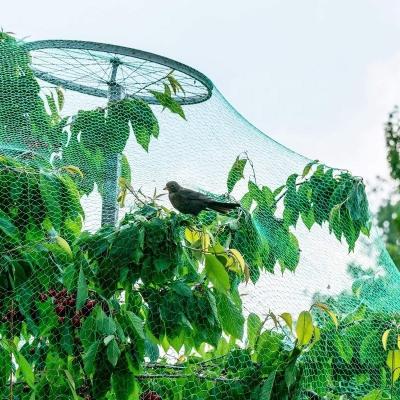 China Factory Customized Anti-bird Net Durable and Hot Selling Anti-bird PE Nylon For Farm Anti-bird (Mesh Size : 2.5cm) for sale