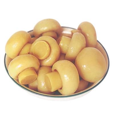 China Fresh canned mushroom wholes in brine for sale