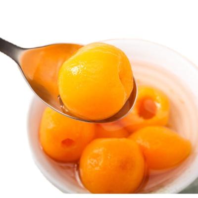 China Canned healthy canned fruits canned loquat in syrup for sale