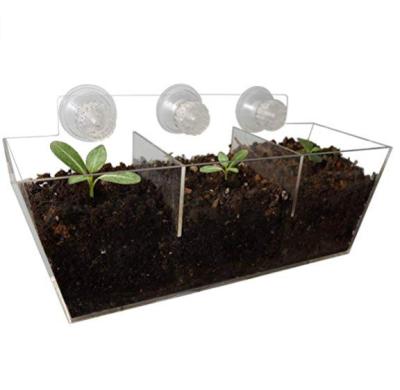 China Eco-friendly Acrylic Window Planter Box Plexiglass Flower Pot Holder With Strong Suction Cup For Home Decor for sale