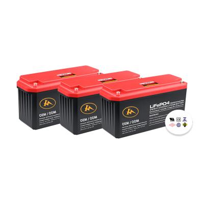 China Power Tools Factory Promotion OEM 24v 48v 60v Lithium Ion Batteries for sale