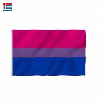 China Pride Rainbow Flags Vivid Color Premium Gay Lesbian Gay Outdoor Banner Scroll With Brass Grommets for sale