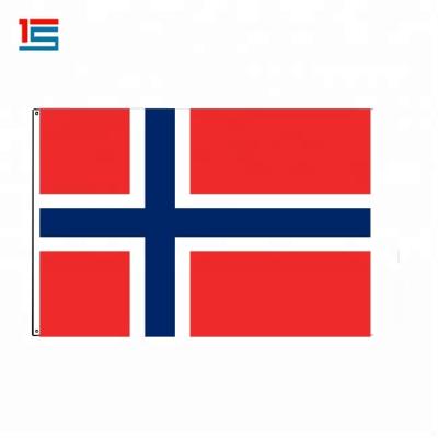 China Factory Sale Environmental Durable Blue Cross Printing Norway White Red National Flag Scroll for sale