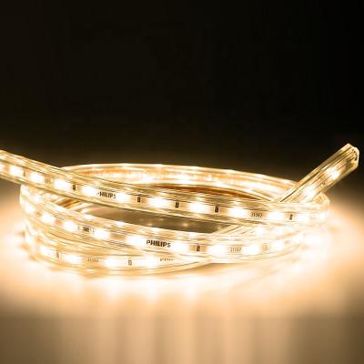 China Hot selling outdoor decoration waterproof ip65 wall led strip light 5050 for sale