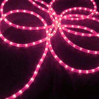 China LANDSCAPE decorations outdoor waterproof led rope light for sale