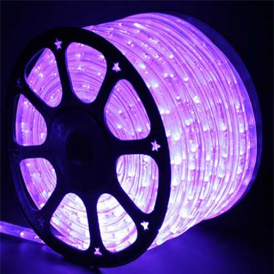 China Theme Park Color Changing PVC 100m LED Rope Light Wedding Light for sale