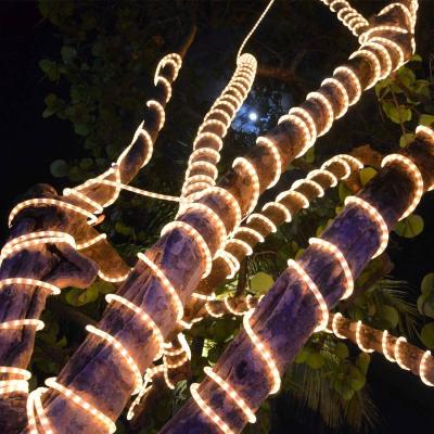 China Warehouse Most Reliable Supplier RGB String Lights Wholesale Made In China Wedding Decoration for sale