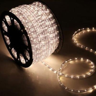 China Theme Park Hot Selling Product IP65 Waterproof 110V/220V Led Rope Lights for sale